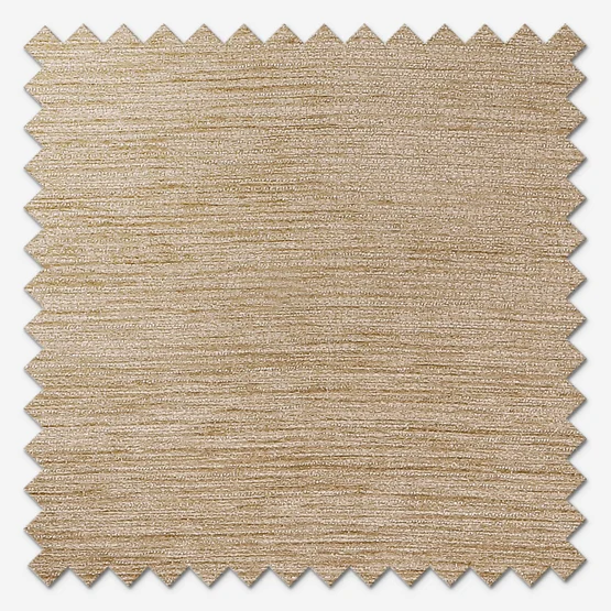 Toronto Oatmeal roman