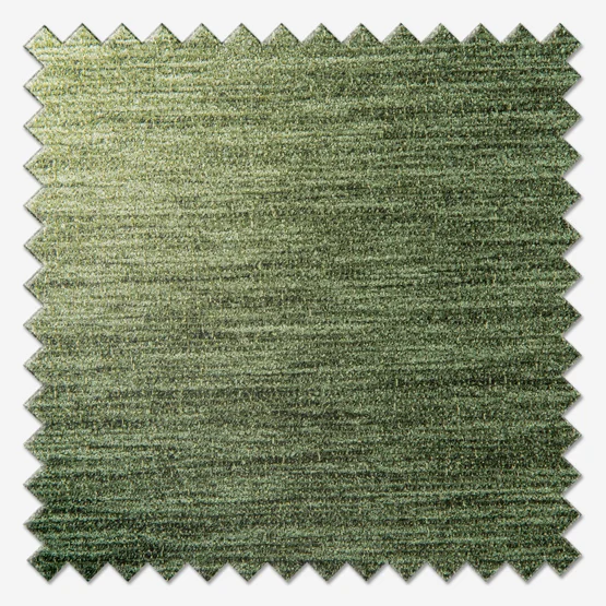 Toronto Spruce roman