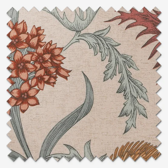 Acanthium Autumn roman