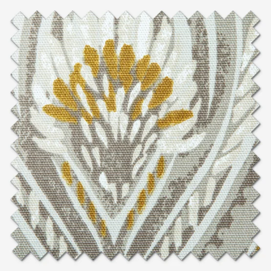 Atticus Opal curtain