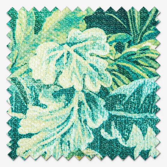 Elysian Canopy roman