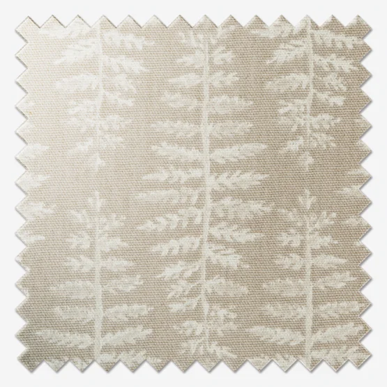 Fernia Mushroom roman