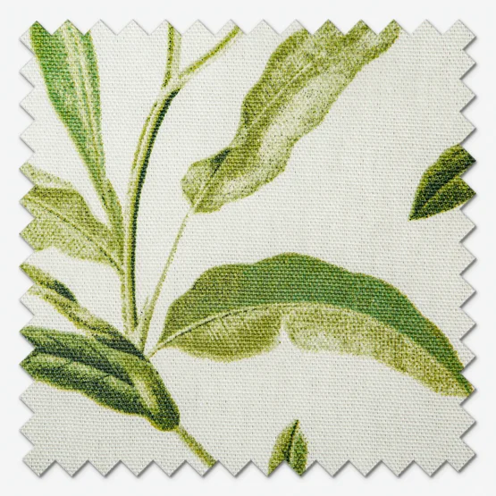 Oasis Spruce curtain