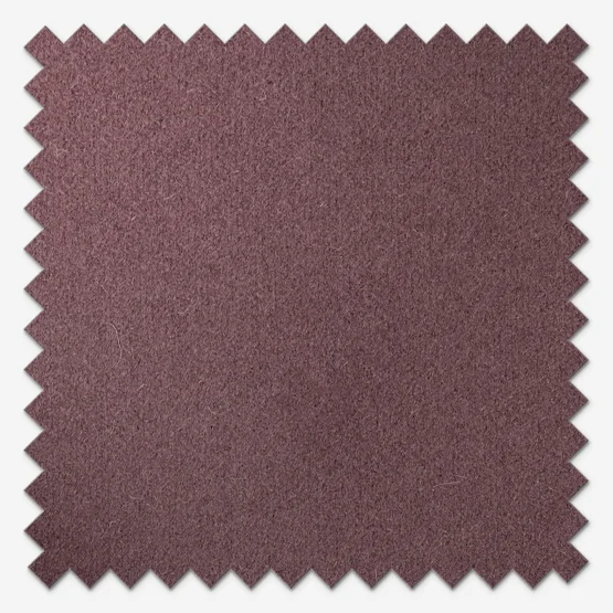 MOON Spectrum Aubergine roman