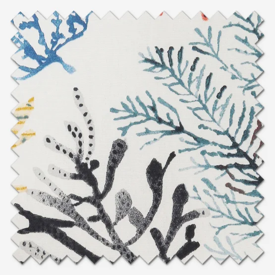 Coral Tropical roman