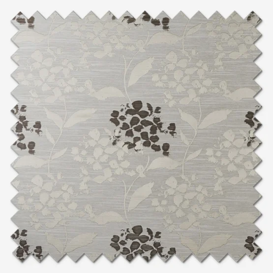 Hydrangea Praline roman