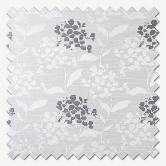 Hydrangea Sterling roman