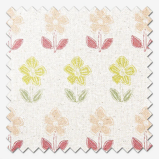 June Raspberry roman