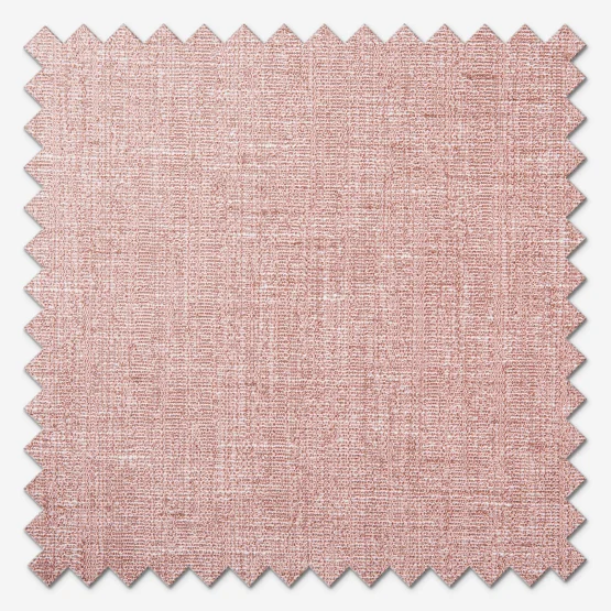 Nimbus Peony roman