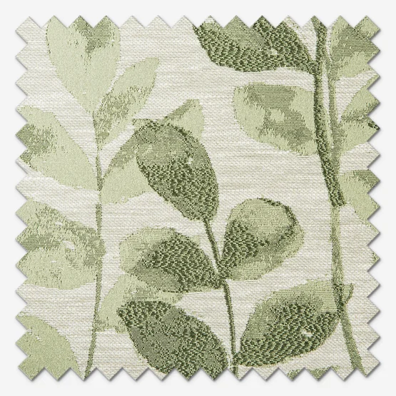 Valo Ivy roman