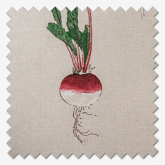 Sophie Allport Garden Vegetables Cream roman
