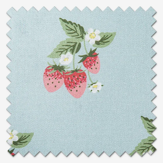 Sophie Allport Strawberries Pale Blue roman