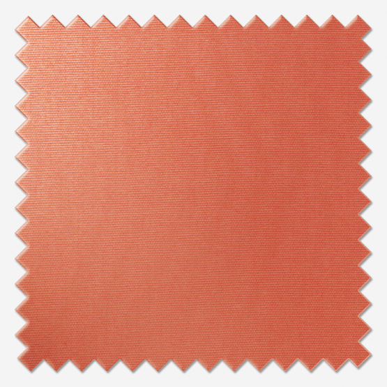 Touched By Design Accent Grapefruit roman