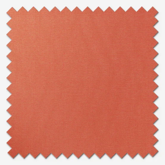 Accent Grapefruit roman