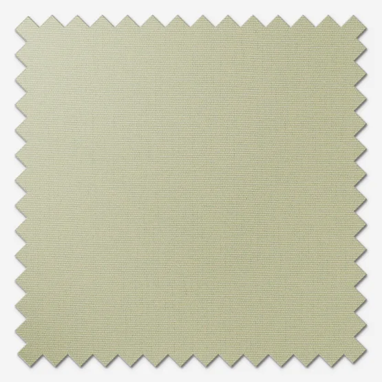 Accent Sage roman