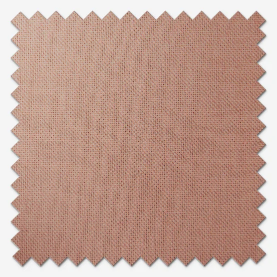 Canvas Vintage Peach Pink roman