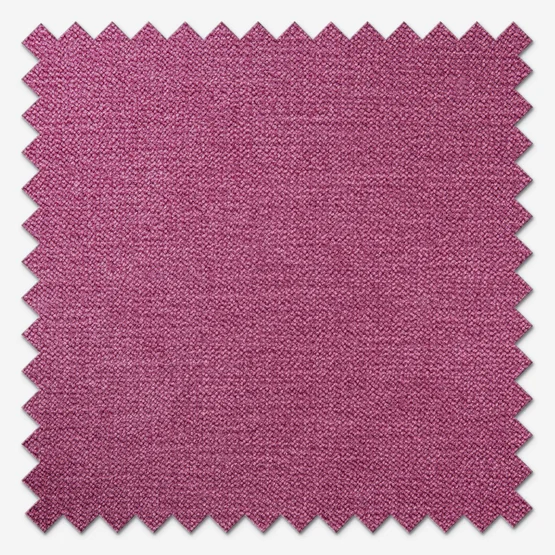 Milan Fuchsia roman