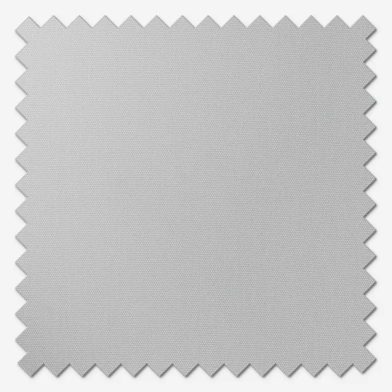Pamuk Silver roman