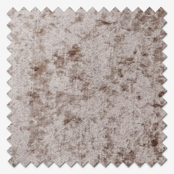Venice Truffle roman
