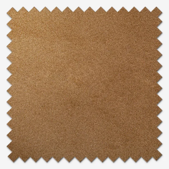 Venus Blackout Nutmeg roman