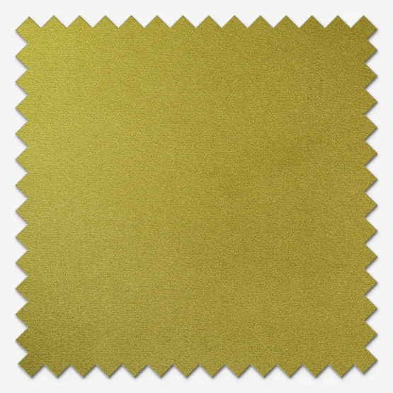 Verona Olive roman