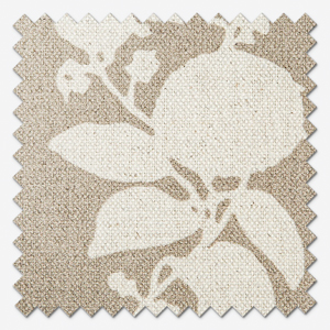 Mirabeau Jute