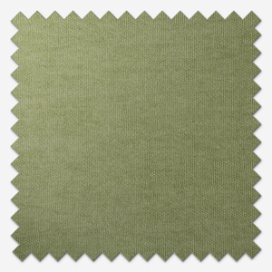 Belvoir Recycled Pampas