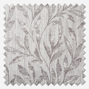 Mayfair Dove