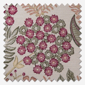 Wilmington Raspberry