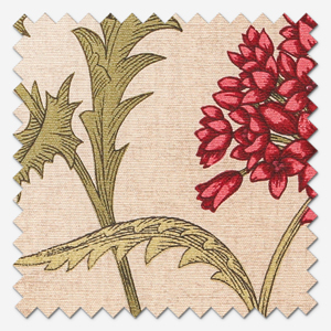 Acanthium Garnet