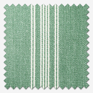 Breton Thyme