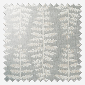 Fernia Dove