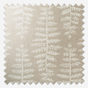 Fernia Mushroom