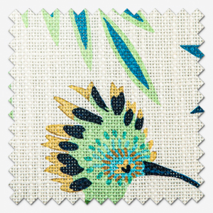 Hoopoe Neptune