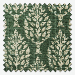 Kemble Spruce