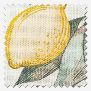 Clemence Chambray