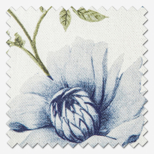 Longmoor Cornflower