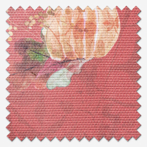 Sonova Studio Pumpkin Spice Red