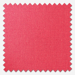 Accent Coral
