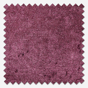 Venice Plum