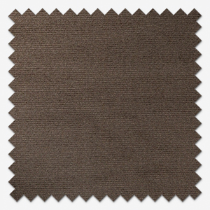 Verona Mole