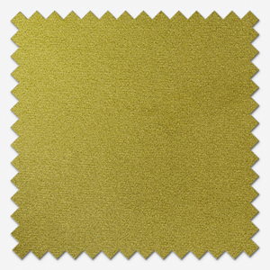 Verona Olive