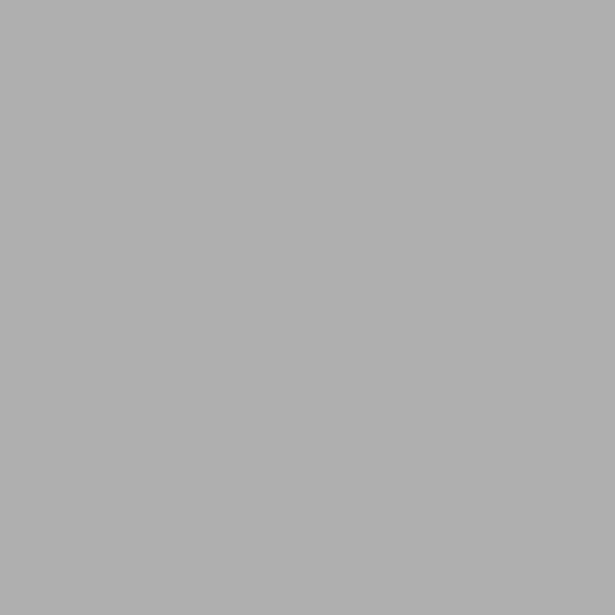 WoodLux Rhino Grey with Tapes venetian
