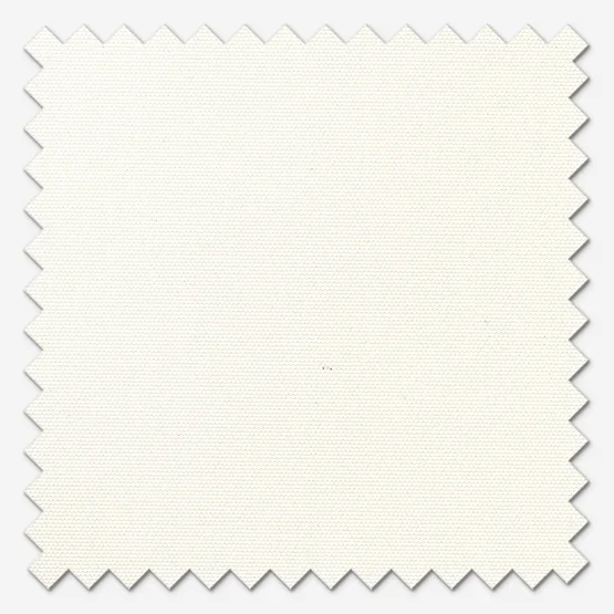 Carnival Ivory vertical