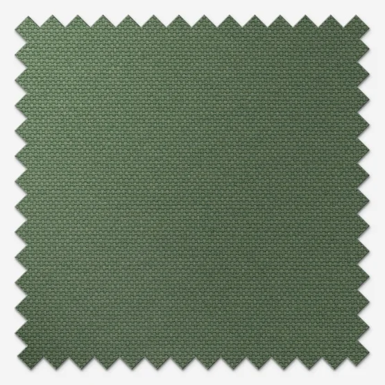 Pop Blackout Fern vertical