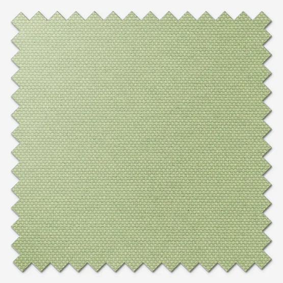 Pop Blackout Sage vertical
