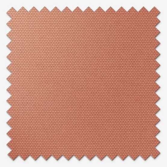 Pop Burnt Orange vertical