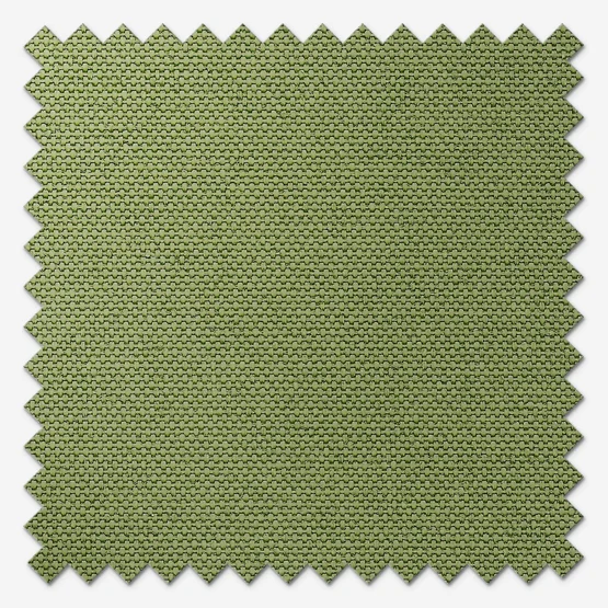 Pop Fern vertical