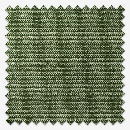 Pop Ivy vertical