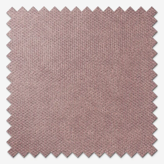 Windsor Blackout Blush vertical